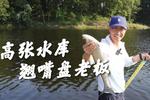 [流言板]掘金、火箭、灰熊战绩同为43