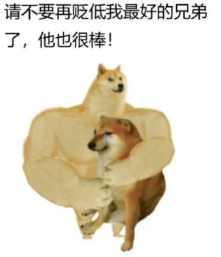 你微信里的表情包顶流,昨天去世了 你可能没听过kabosu这个名字
