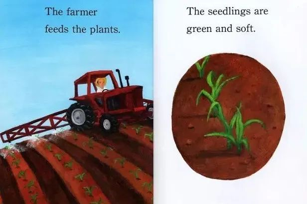 兰登step into reading分级阅读系列 1 corn aplenty