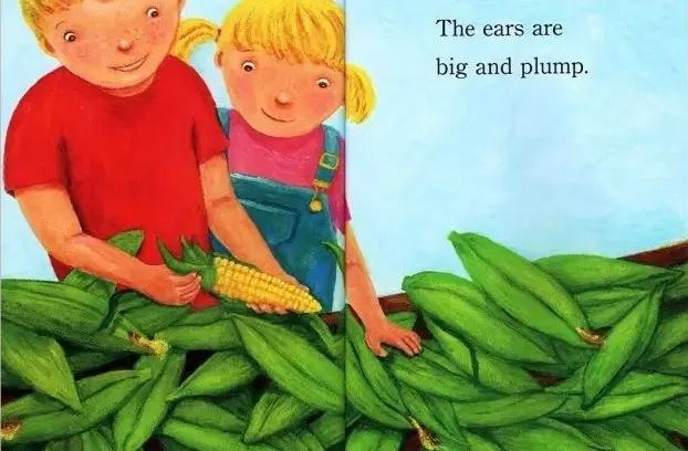 兰登step into reading分级阅读系列 1 corn aplenty