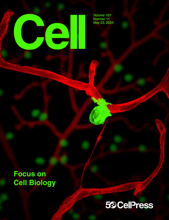 cell封面:段昕团队揭示血管周神经元通过神经血管直接