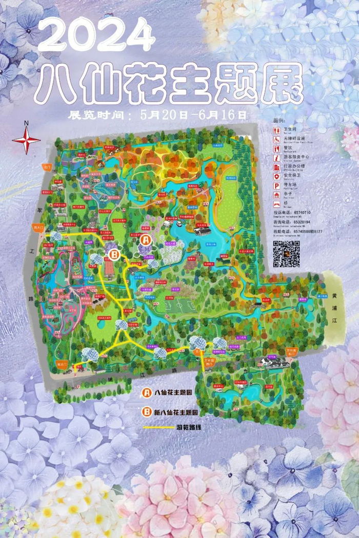 花语是"希望 ""美满""浪漫",5月20日—6月16日上海共青森林公园打造了