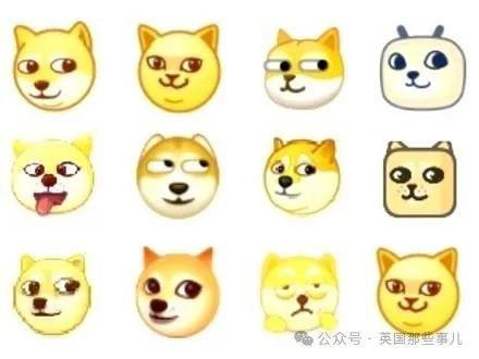 最火狗狗走了,永远留在了所有人的表情包里.