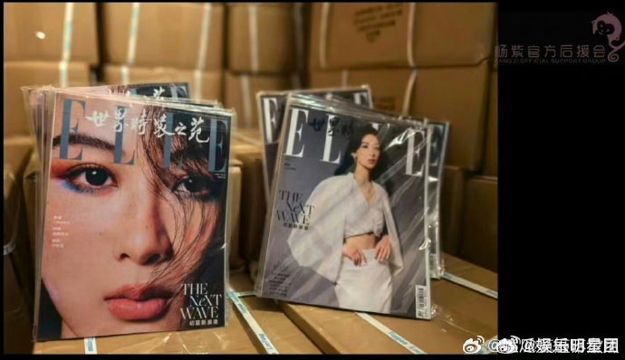 杨紫后援会正面回应大粉海景房传闻,购买的杂志都有实物和仓库