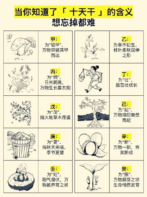 简单明了,通俗易懂的一个"天干地支"的快速记忆法