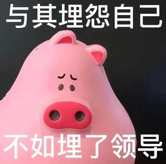 爱辽爱辽,表情包给你准备好了!