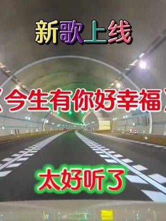 今生有你真好幸福好听又伤感