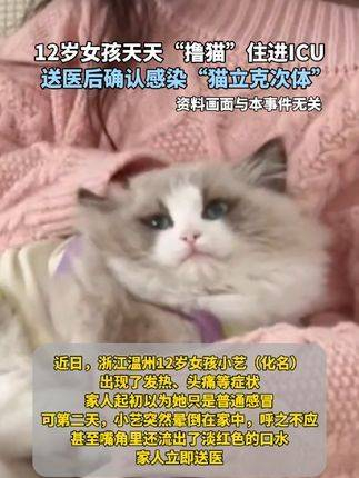 送医后确认感染了「猫立克次体」