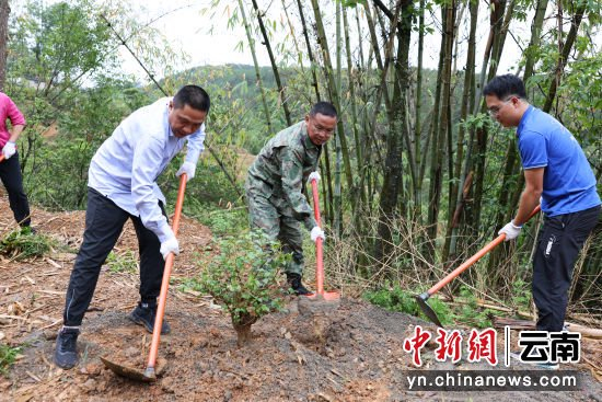 活动组织全县干部职工和15个乡(镇)169个社区2305个村民小组积极参与