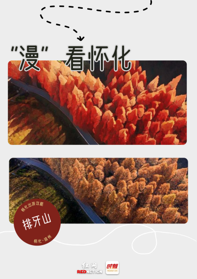 交互海报丨此刻,游怀化 请大胆去爱去放纵