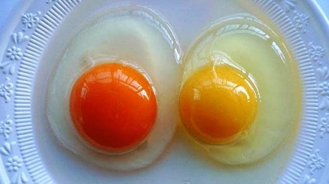 蛋黄颜色越深的鸡蛋,才越有营养?土鸡蛋的营养价值最高?是么