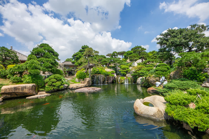 陈村花卉世界。图源/陈村镇宣传文体旅游办公室