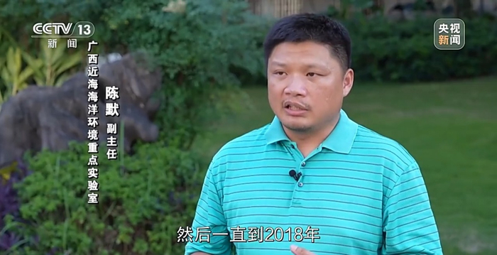 7年的探寻有"鲸"喜!布氏鲸回来了 就在涠洲岛海域