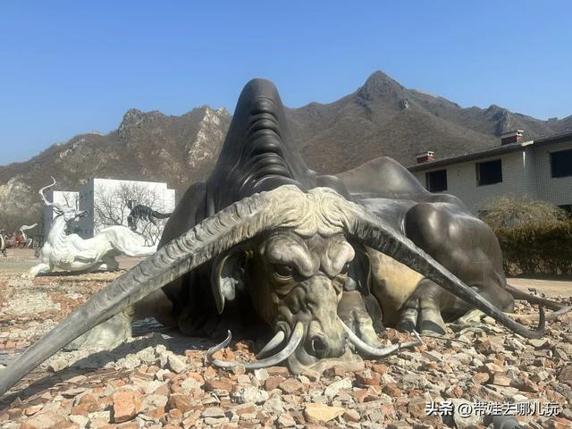 去怀柔看山海经神兽，顺便爬个山__财经头条