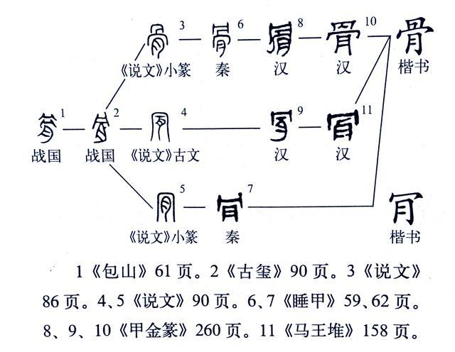 骨字的部首图片