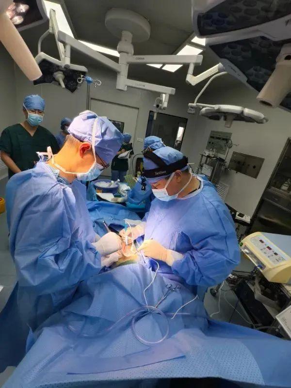 医护人员在进行临床辅助异种肝移植手术中。(安徽医科大学第一附属医院供图)