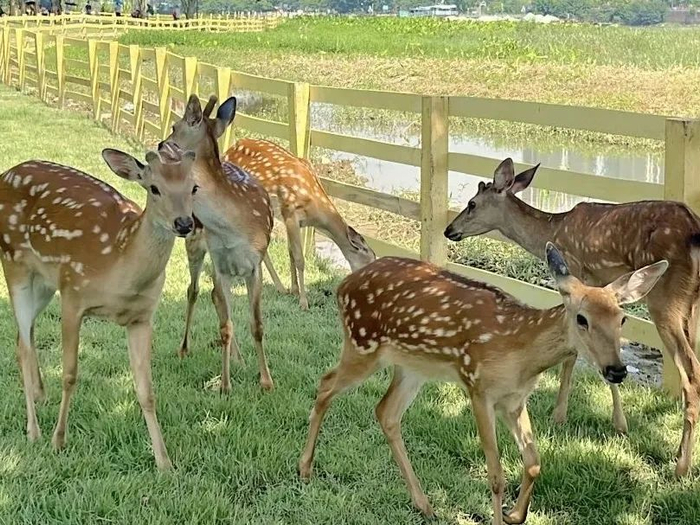 上图分别为世纪莲体育中心、佛山新城滨河景观带、佛山大剧院。图源：佛山新闻网、佛山大剧院、周焯杰、乐从发布