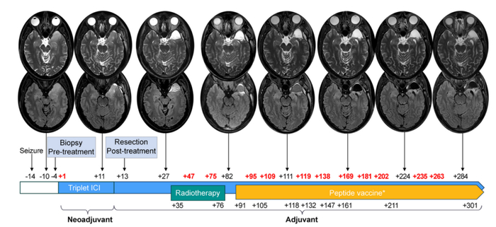 图源/Nature Portfolio