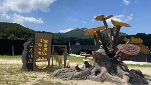 千人共庆勤善堂第六届金寨灵芝长寿养生文化旅游节