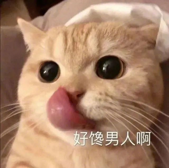 一组有趣好玩的表情包~ 拿图请顺便吱一声 很难有动力发图了
