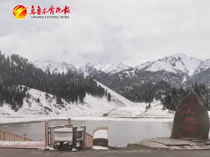 组图丨来乌鲁木齐南山 邂逅一场"五月雪"