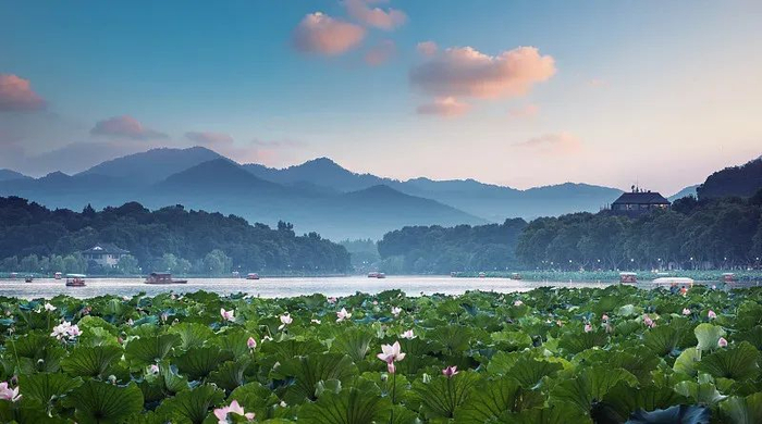 8首最美夏日诗词,带你感受美好时光|客中初夏|初夏游张园|初夏即事