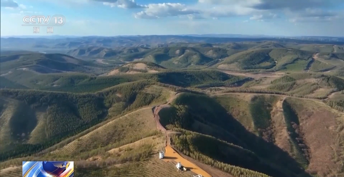 确保输配电线路安全 "数字孪生"技术首次现身塞罕坝|机械|塞罕坝|林场