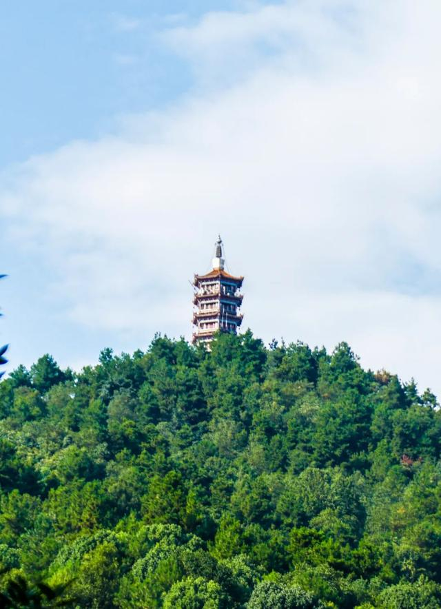 凤凰山国家森林公园地址:遵义市新蒲新区新蒲街道文武村在这里,养肺又