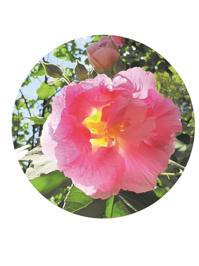      王霜/文  冉玉杰/图