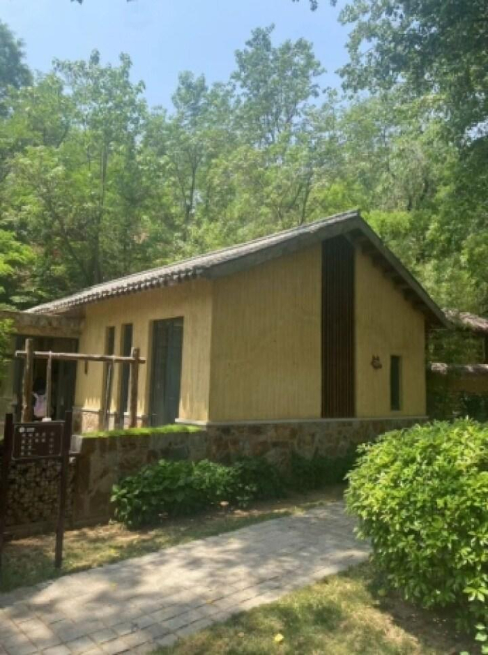 穿越古今品潍坊发展