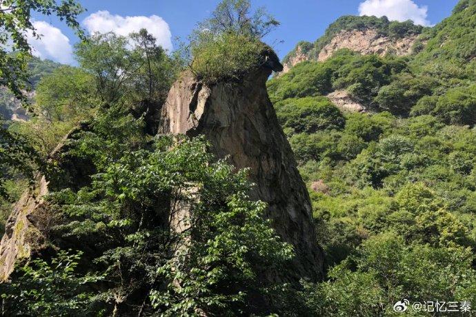 夏日治愈系风景!来少华山开启绿荫下的诗意漫步