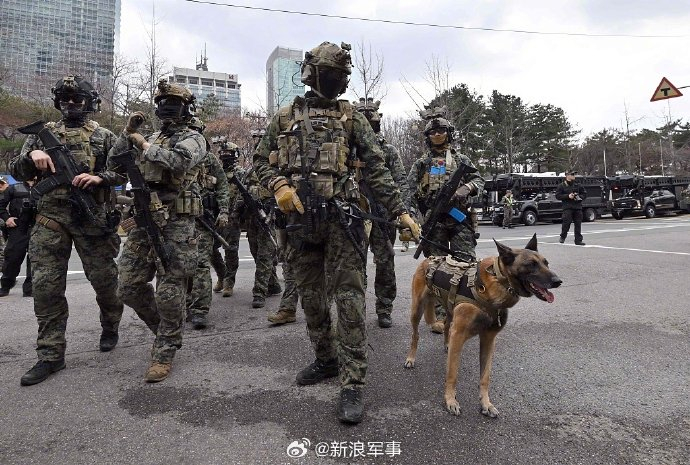 据报道,韩国陆军驻世宗市第32步兵师团新兵教育队21日上午组织手榴弹