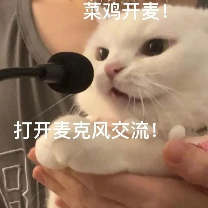 新表情包上线,速来领取欢乐多!