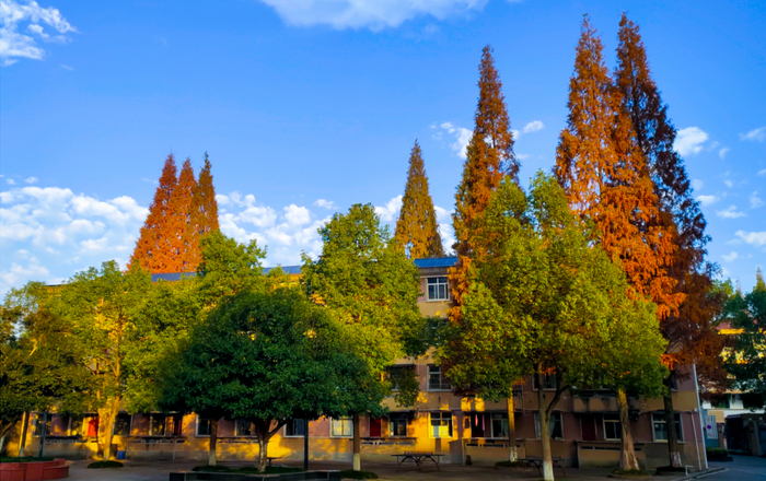 浏阳四中学子来信,满纸都是"爱你"!|浏阳市|毕业季_新浪新闻