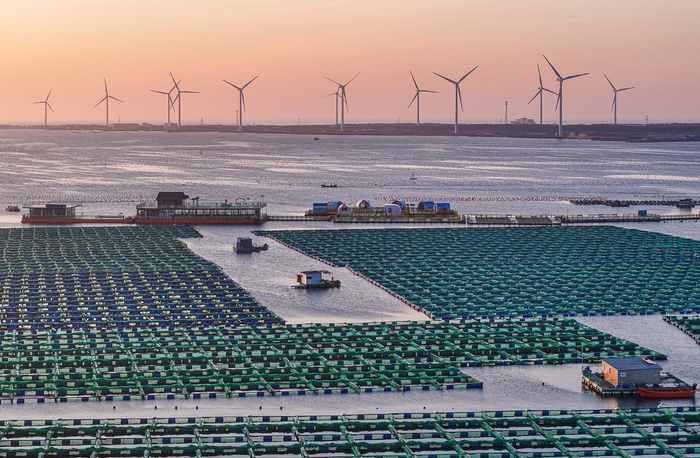 山东荣成:绿色风电赋能"海上田园"|海上田园|荣成|石岛管理区_新浪