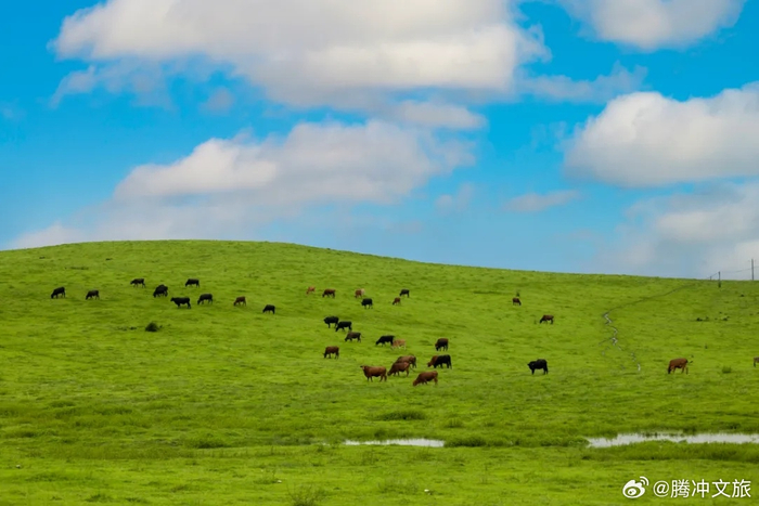 腾冲·东山草原