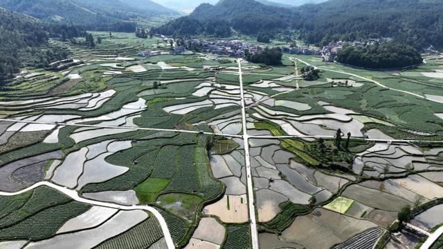 龙里湾滩河:初夏田园风光美