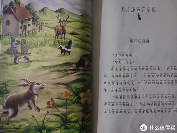《兔子坡》–––罗伯特·罗素