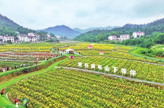 四届百合农旅文化节在岳阳楼区郭镇乡麻布山自在·云梦泽七彩世界开幕