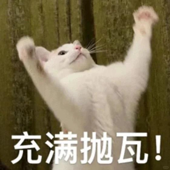 充满抛瓦表情包黑猫图片