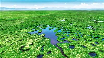 四川省甘孜藏族自治州色达泥拉坝湿地。甘孜州委宣传部供图