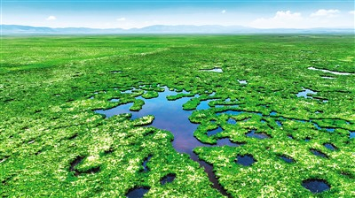 四川甘孜:守绿换金