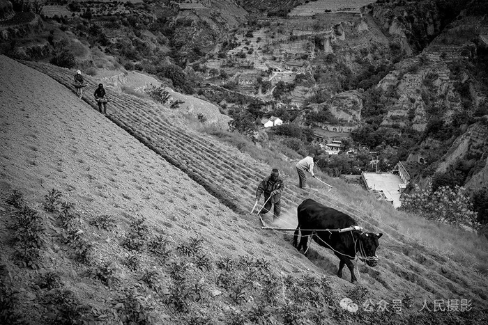 签约摄影师联谊赛温情感动一座城