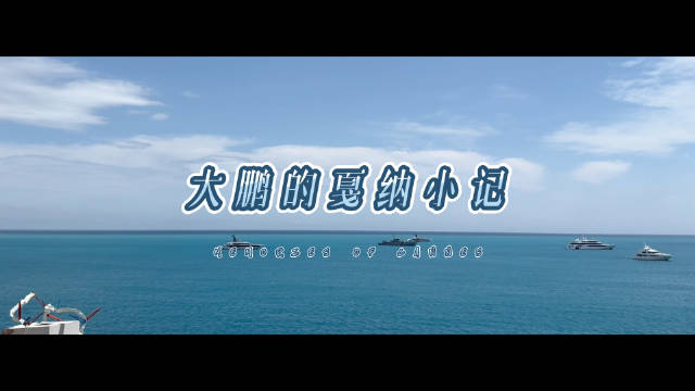 鹏哥@大鹏董成鹏 的小记掉落 邂逅光与影,体会美与