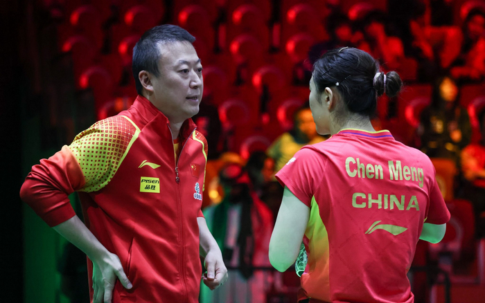 除了国乒队员，马琳（左）等教练也遭到过极端粉丝的攻击。  图/新华社