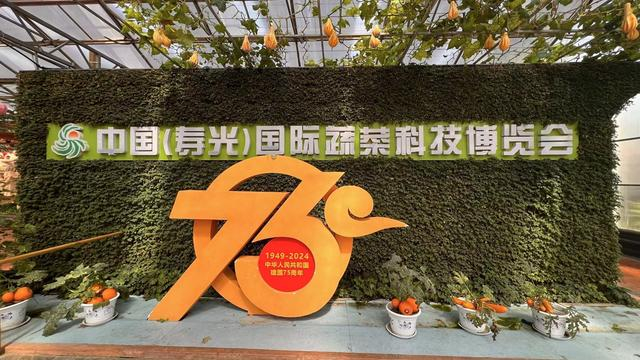实探寿光菜博会   "蔬菜之乡"如何更上一层楼