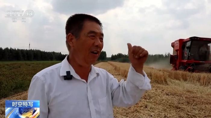 95后美甲师化身田间农机手|谢娜|小麦_新浪新闻