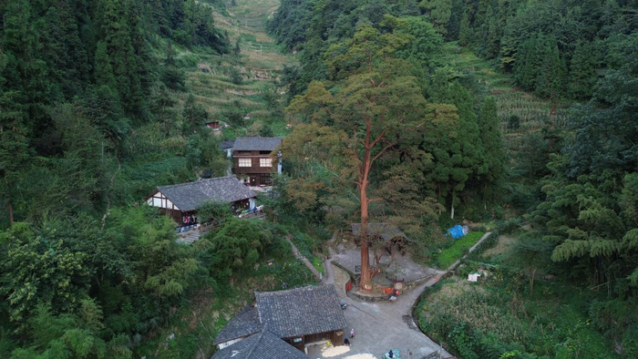 【"新"生向前】红色印记正生辉——威信湾子苗寨