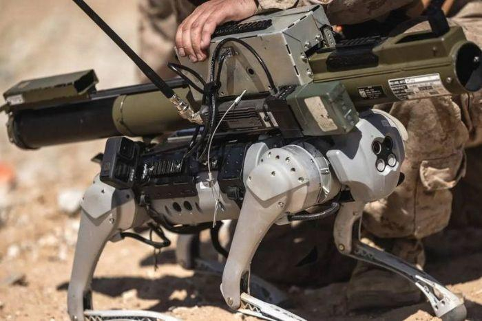 中国机器狗,让美军紧张?