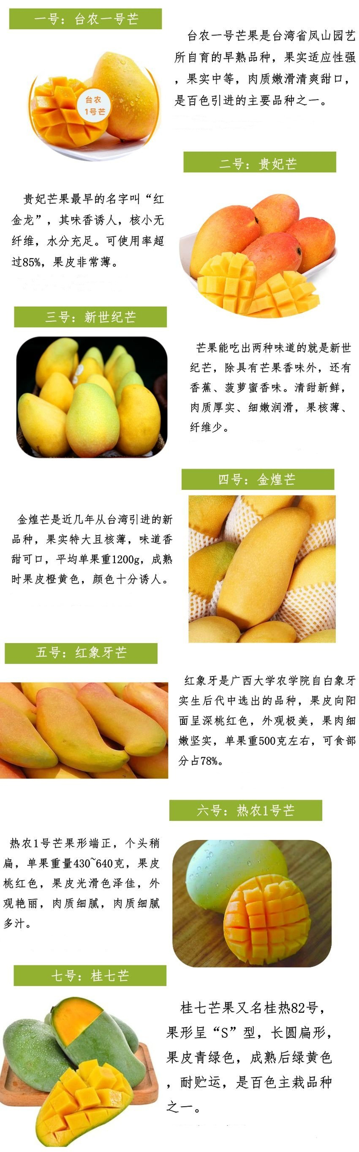 百色芒果上市期为6月15日,官方提醒:注意分辨!